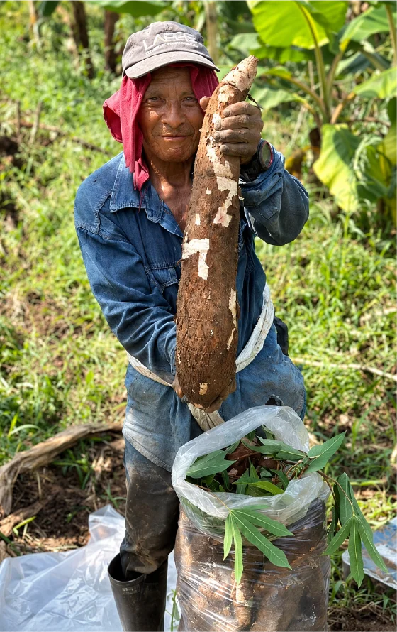 Galeria de fotos Fonterina - Fabrica exportadora de harina de yuca 1